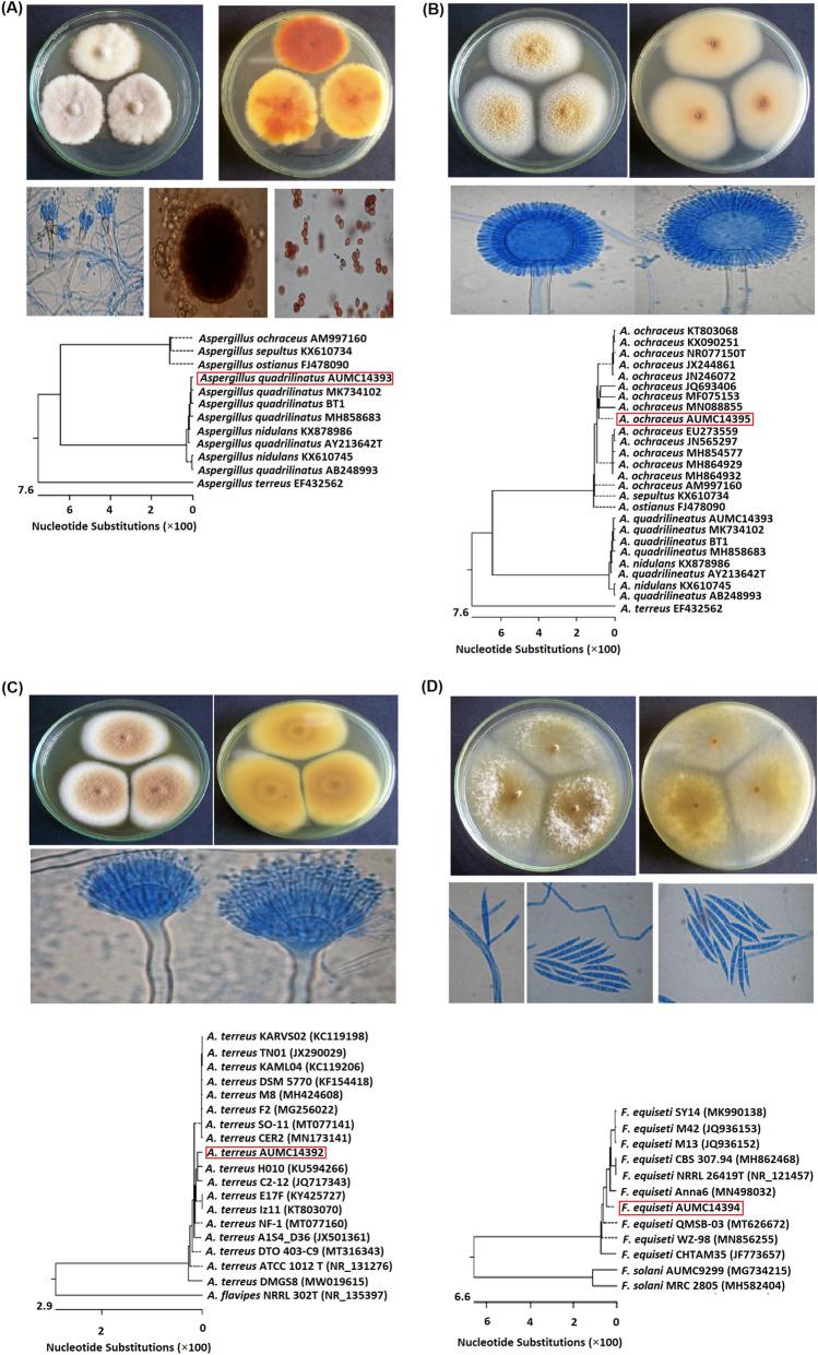 https://cdn.ncbi.nlm.nih.gov/pmc/blobs/6a21/9177918/f9fac94a0809/13568_2022_1408_Fig1_HTML.jpg