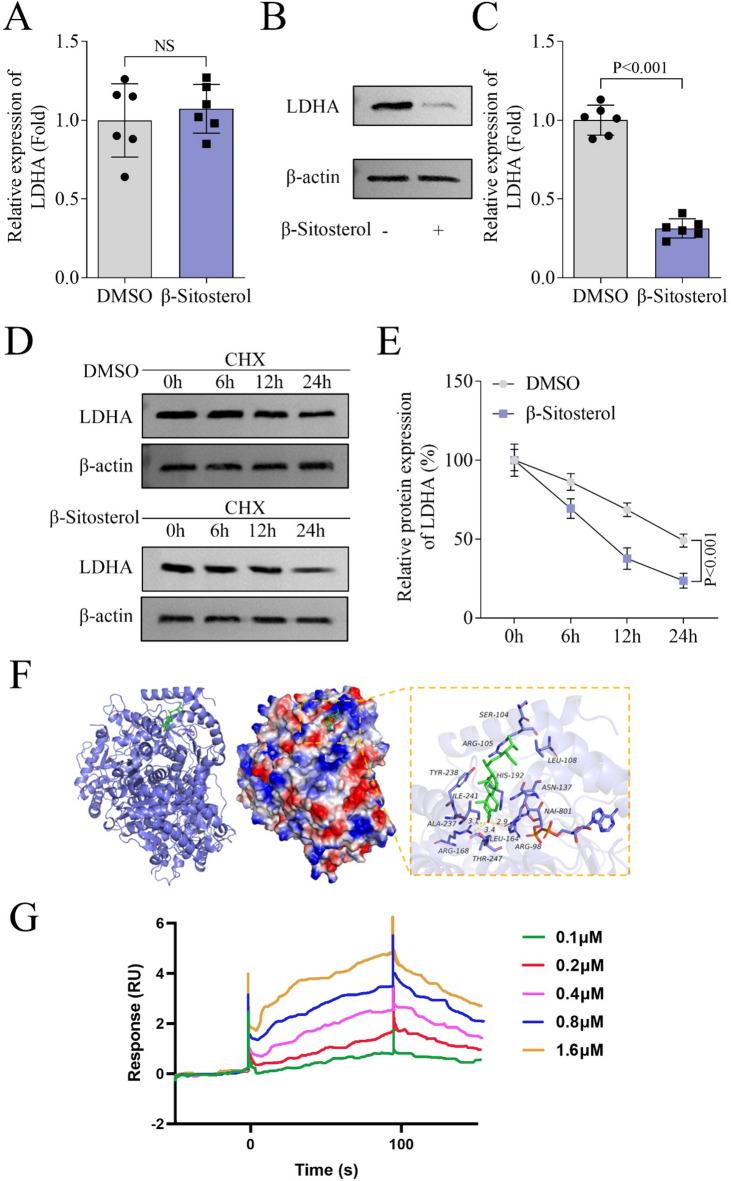https://cdn.ncbi.nlm.nih.gov/pmc/blobs/6a23/12254488/2275ebbfb212/41598_2025_10928_Fig3_HTML.jpg