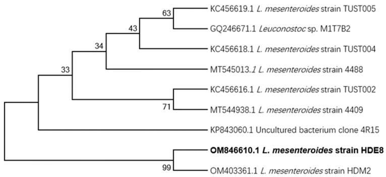 https://cdn.ncbi.nlm.nih.gov/pmc/blobs/6a24/11013467/bbe501ff8149/polymers-16-00954-g001.jpg
