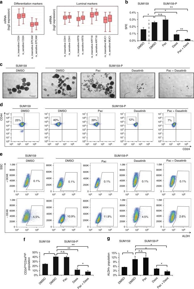 https://cdn.ncbi.nlm.nih.gov/pmc/blobs/6a25/6288167/296a4d4fab1c/41416_2018_287_Fig5_HTML.jpg