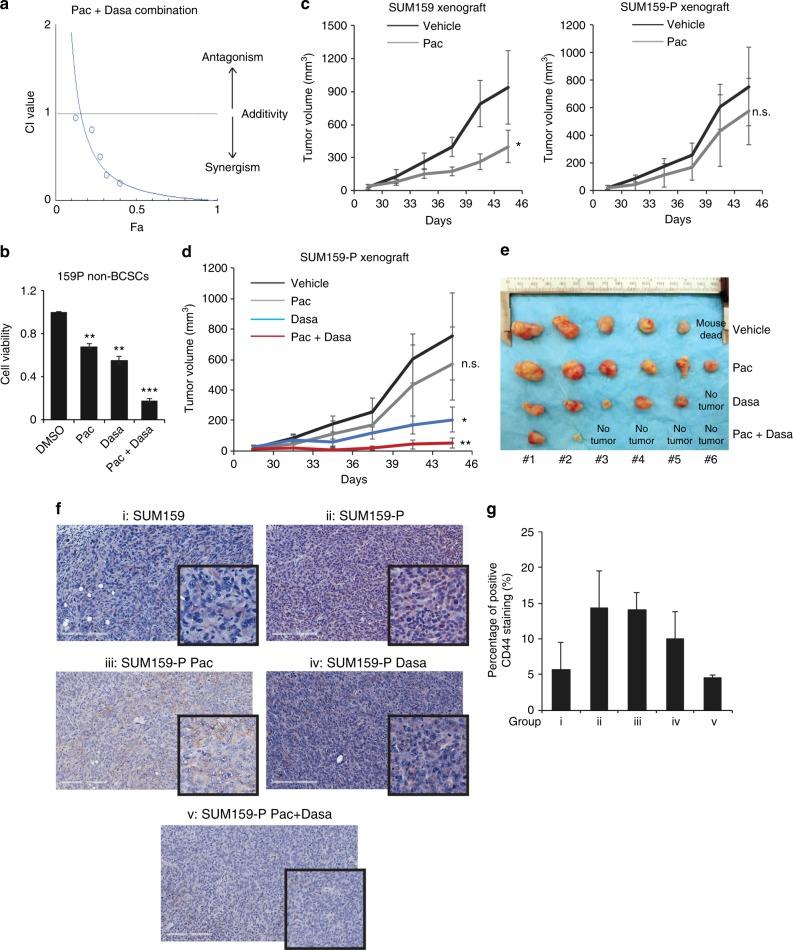 https://cdn.ncbi.nlm.nih.gov/pmc/blobs/6a25/6288167/bdb47d82301d/41416_2018_287_Fig6_HTML.jpg