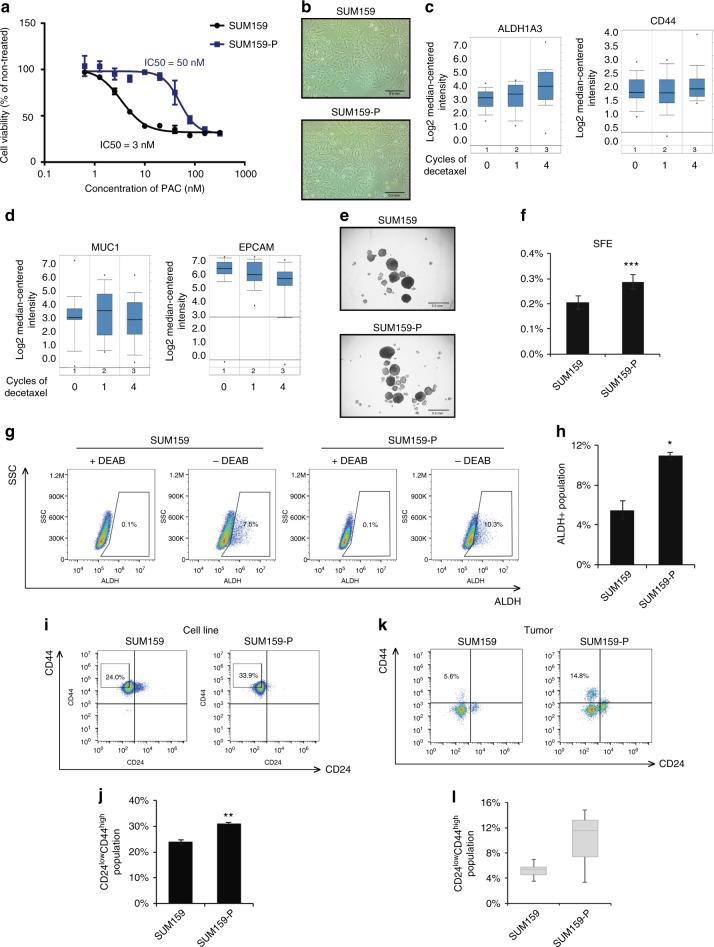 https://cdn.ncbi.nlm.nih.gov/pmc/blobs/6a25/6288167/d1f7f93d0cd3/41416_2018_287_Fig1_HTML.jpg