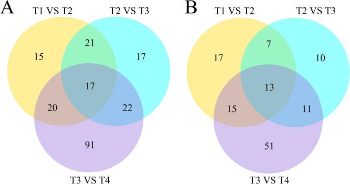 https://cdn.ncbi.nlm.nih.gov/pmc/blobs/6a26/10523669/27b237e0e002/12870_2023_4457_Fig12_HTML.jpg