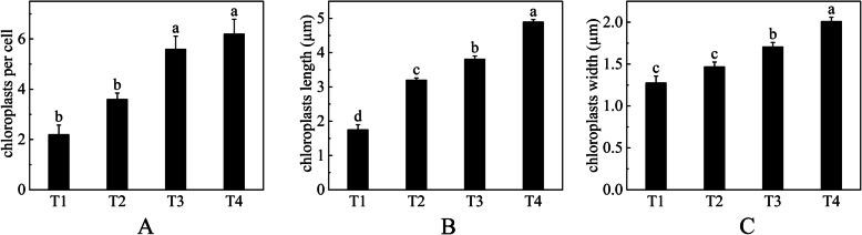 https://cdn.ncbi.nlm.nih.gov/pmc/blobs/6a26/10523669/4a56770c1ebe/12870_2023_4457_Fig6_HTML.jpg
