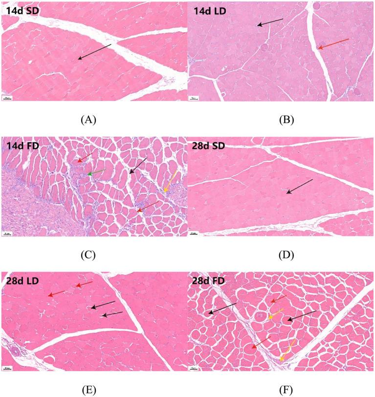 https://cdn.ncbi.nlm.nih.gov/pmc/blobs/6a28/11975912/17ec16534e02/fmicb-16-1504264-g002.jpg