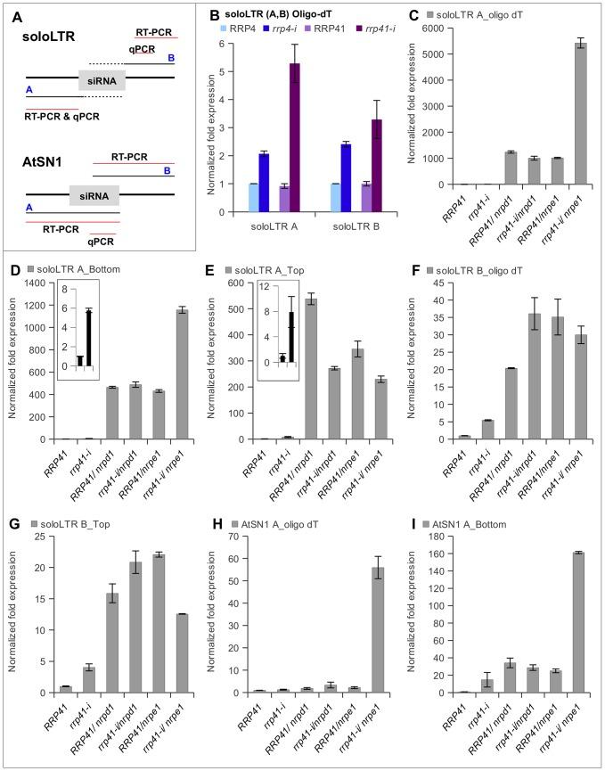 https://cdn.ncbi.nlm.nih.gov/pmc/blobs/6a28/3610620/ae6a4a2d0f03/pgen.1003411.g004.jpg