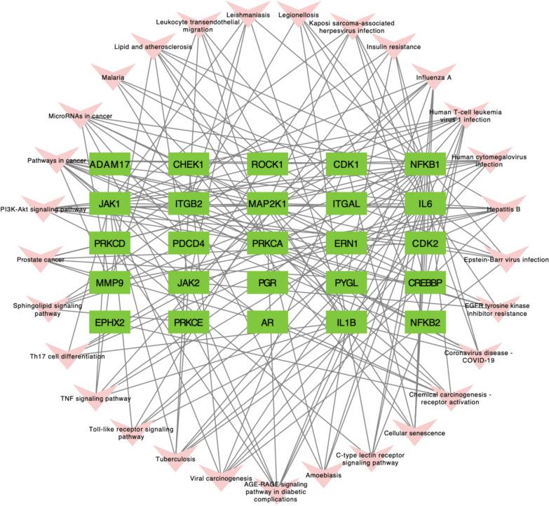 https://cdn.ncbi.nlm.nih.gov/pmc/blobs/6a29/11979015/1e908c346c07/40643_2025_869_Fig5_HTML.jpg