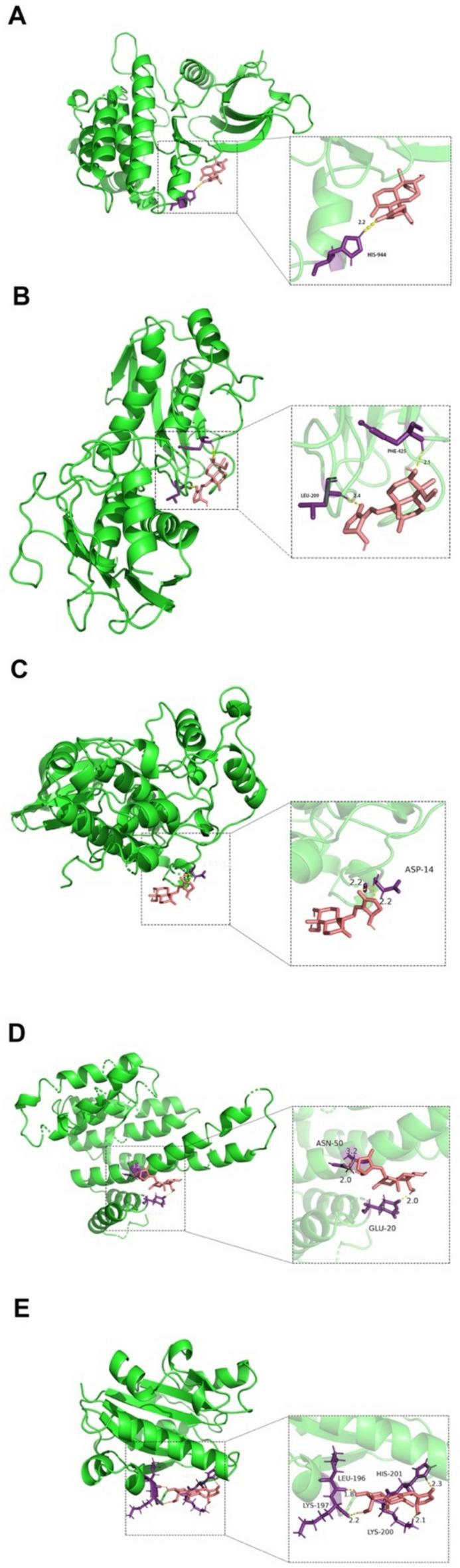 https://cdn.ncbi.nlm.nih.gov/pmc/blobs/6a29/11979015/9ee2f7a113dc/40643_2025_869_Fig6_HTML.jpg