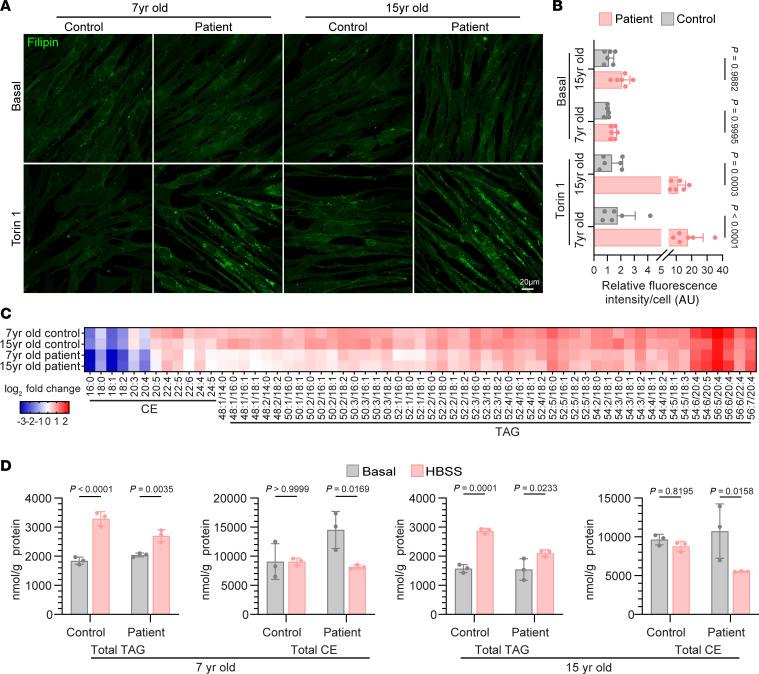 https://cdn.ncbi.nlm.nih.gov/pmc/blobs/6a29/12404768/ccc31037ad05/jci-135-193099-g040.jpg