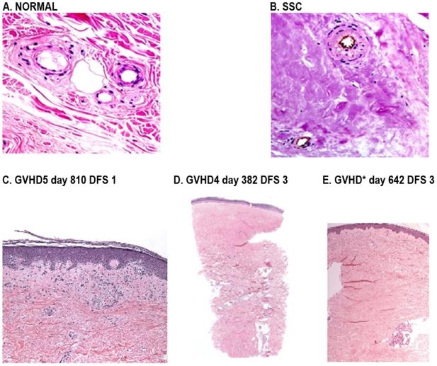 https://cdn.ncbi.nlm.nih.gov/pmc/blobs/6a29/2705674/09c2a9c6f108/pone.0006203.g001.jpg