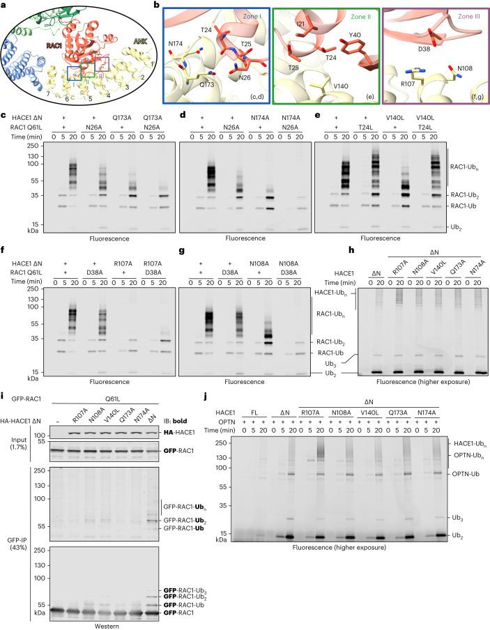 https://cdn.ncbi.nlm.nih.gov/pmc/blobs/6a2a/10873202/fbf6a4c0c6cc/41594_2023_1203_Fig6_HTML.jpg