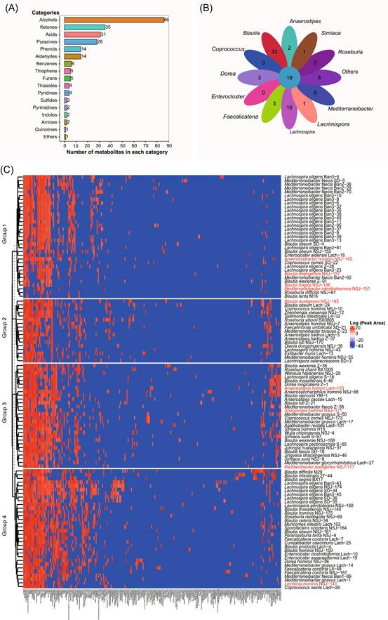 https://cdn.ncbi.nlm.nih.gov/pmc/blobs/6a2a/10989990/b9fa318800dd/IMT2-1-e58-g001.jpg