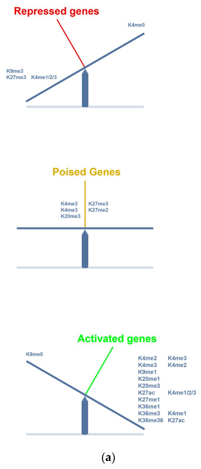 https://cdn.ncbi.nlm.nih.gov/pmc/blobs/6a2a/9966837/1a7e311e1b57/ijms-24-04148-g003a.jpg