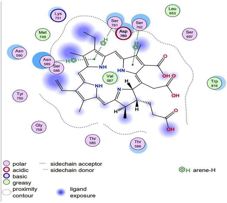 https://cdn.ncbi.nlm.nih.gov/pmc/blobs/6a2b/11428499/4ba012b245d0/antibiotics-13-00899-g009.jpg