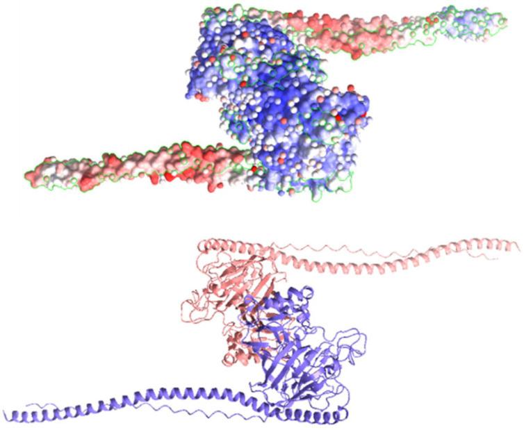 https://cdn.ncbi.nlm.nih.gov/pmc/blobs/6a2b/11428499/7cd22fd3d856/antibiotics-13-00899-g002.jpg
