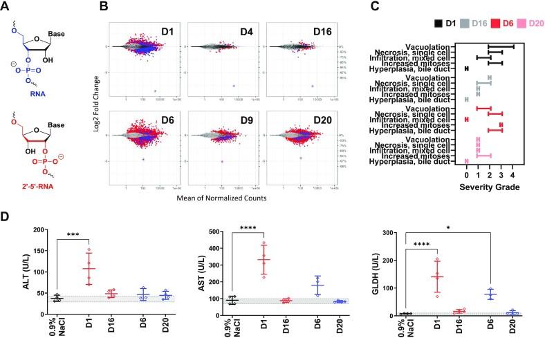 https://cdn.ncbi.nlm.nih.gov/pmc/blobs/6a2b/9262600/34c638bdbb98/gkac539fig4.jpg