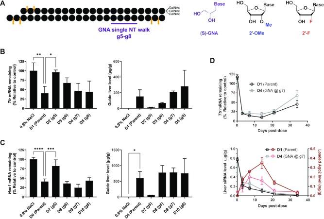 https://cdn.ncbi.nlm.nih.gov/pmc/blobs/6a2b/9262600/d7486491979e/gkac539fig1.jpg