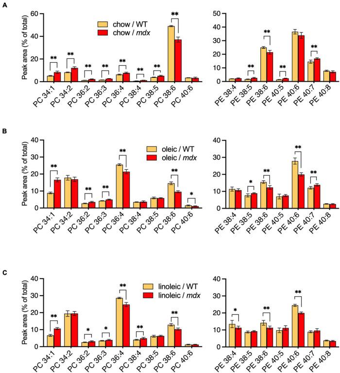https://cdn.ncbi.nlm.nih.gov/pmc/blobs/6a2c/8791236/5d43d02820d9/fphys-12-698166-g006.jpg