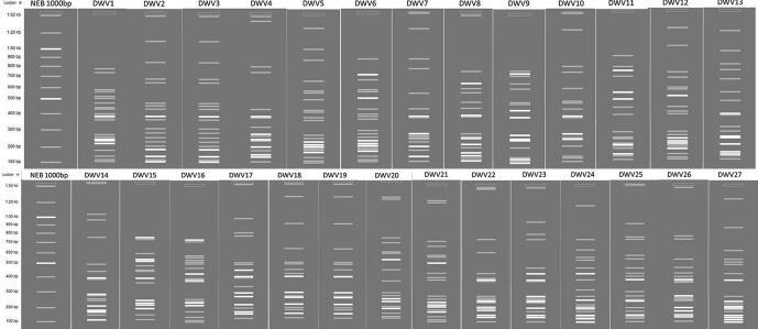 https://cdn.ncbi.nlm.nih.gov/pmc/blobs/6a2d/7938125/1143d7ccc0ae/gr2.jpg