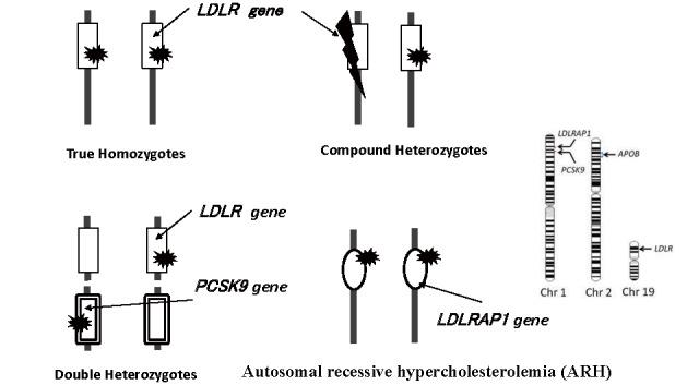 https://cdn.ncbi.nlm.nih.gov/pmc/blobs/6a2e/10164603/f73c5016f666/30_CR006_1.jpg