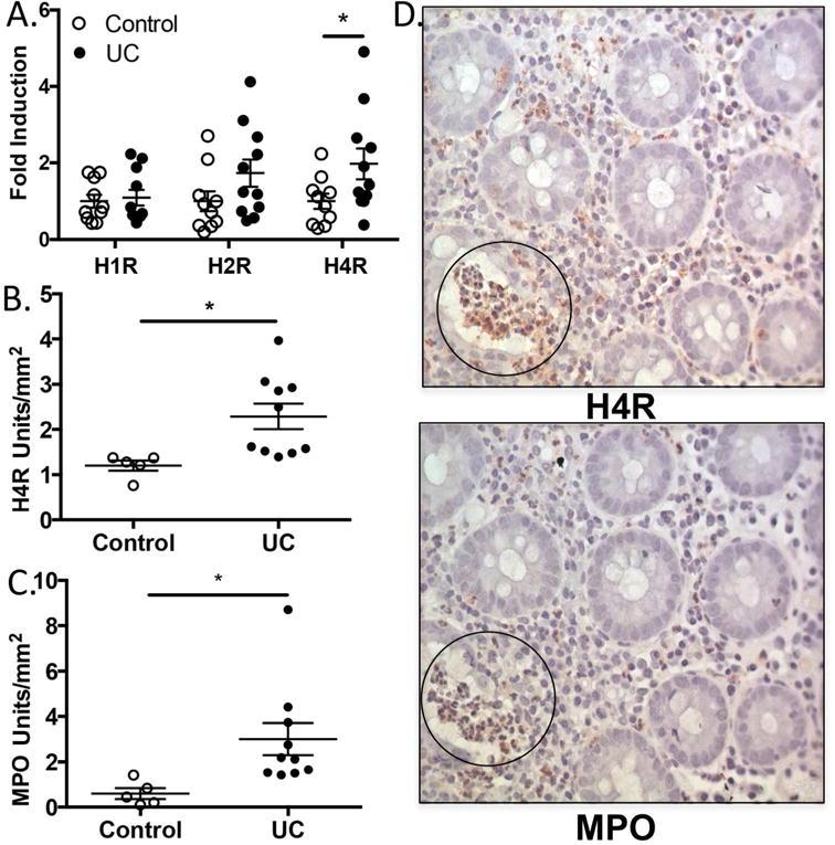 https://cdn.ncbi.nlm.nih.gov/pmc/blobs/6a2e/5976516/449a09fe9505/nihms929902f1.jpg