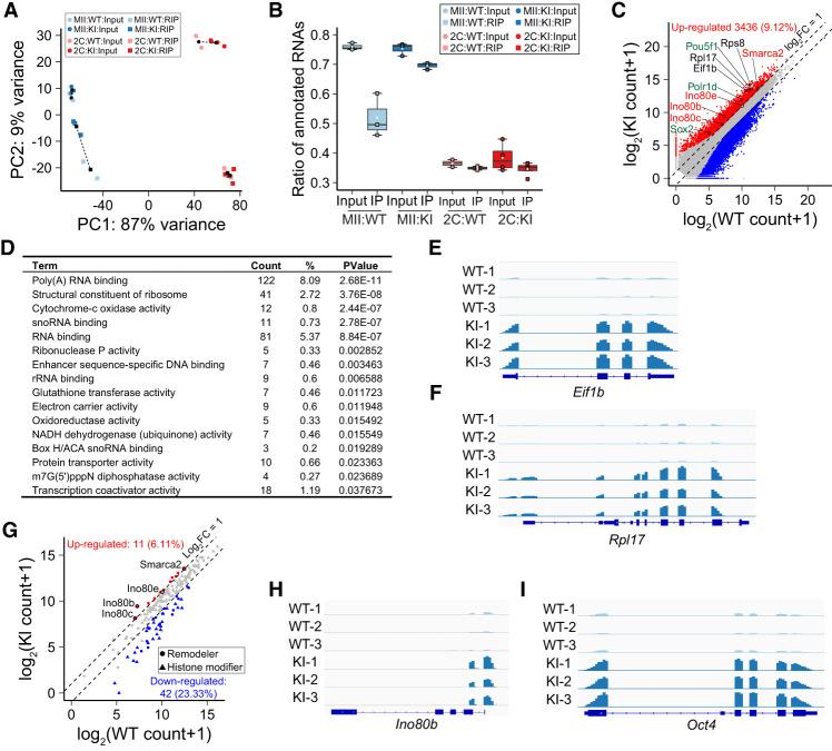 https://cdn.ncbi.nlm.nih.gov/pmc/blobs/6a30/10270193/90e1c2be2c33/418f05.jpg