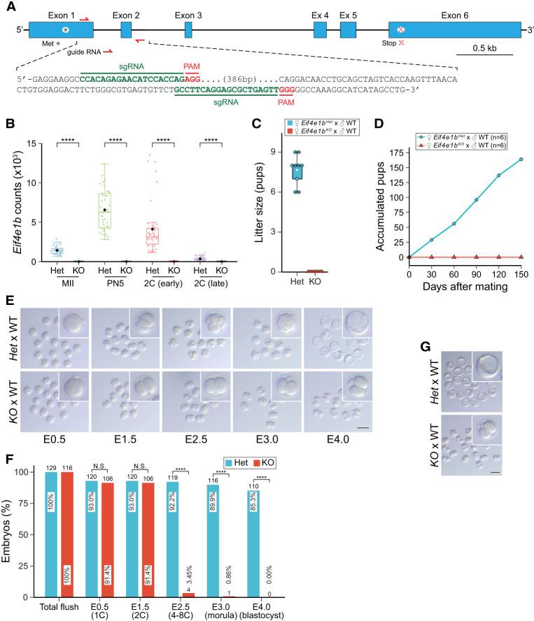 https://cdn.ncbi.nlm.nih.gov/pmc/blobs/6a30/10270193/f96085ac61a4/418f02.jpg