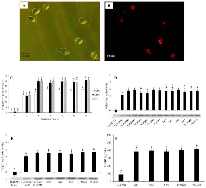 https://cdn.ncbi.nlm.nih.gov/pmc/blobs/6a30/11297646/4babd9ad6d30/12917_2023_3760_Fig1_HTML.jpg