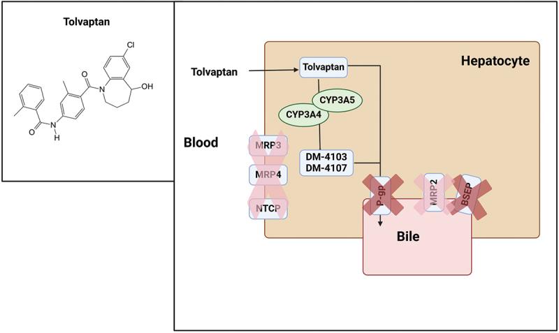 https://cdn.ncbi.nlm.nih.gov/pmc/blobs/6a32/12309459/472cb9e6eb5f/IEMT_A_2501127_F0001_OC.jpg