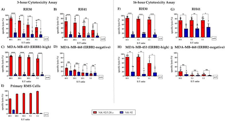 https://cdn.ncbi.nlm.nih.gov/pmc/blobs/6a32/8004684/6da506e49676/cancers-13-01443-g003.jpg