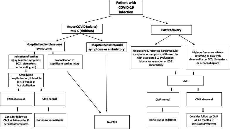https://cdn.ncbi.nlm.nih.gov/pmc/blobs/6a33/10041810/8215a0af3382/12968_2023_933_Fig2_HTML.jpg