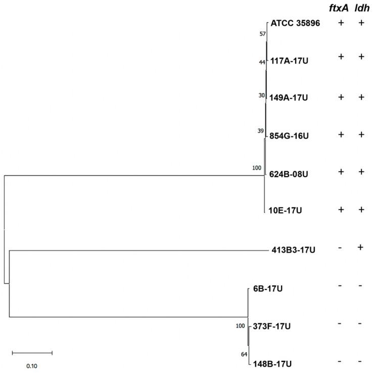 https://cdn.ncbi.nlm.nih.gov/pmc/blobs/6a33/7692872/e8fc659fffb3/toxins-12-00687-g002.jpg