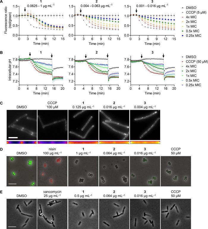 https://cdn.ncbi.nlm.nih.gov/pmc/blobs/6a35/10949930/28ac86908104/cb3c00773_0004.jpg