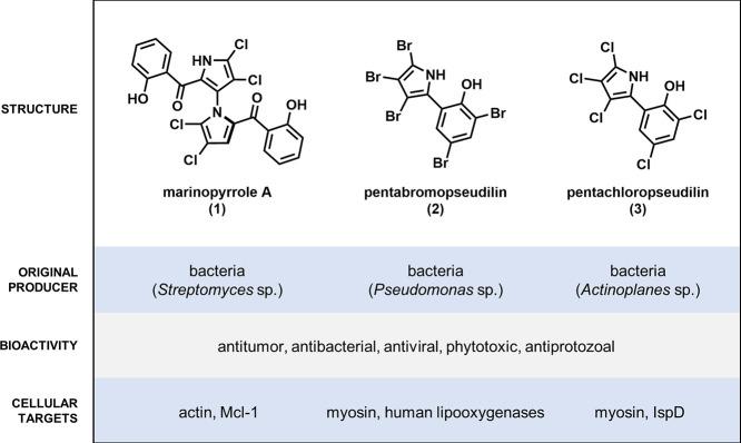 https://cdn.ncbi.nlm.nih.gov/pmc/blobs/6a35/10949930/fcd0be1553db/cb3c00773_0001.jpg