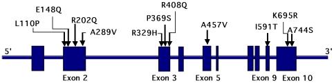 https://cdn.ncbi.nlm.nih.gov/pmc/blobs/6a35/2794536/a52689baab7d/pone.0008480.g001.jpg