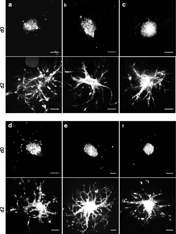 https://cdn.ncbi.nlm.nih.gov/pmc/blobs/6a35/5789681/52ce39aa867a/12885_2018_4007_Fig3_HTML.jpg