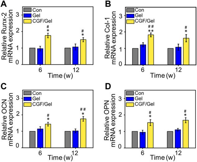https://cdn.ncbi.nlm.nih.gov/pmc/blobs/6a36/9664392/389014c14a66/fbioe-10-1039117-g005.jpg