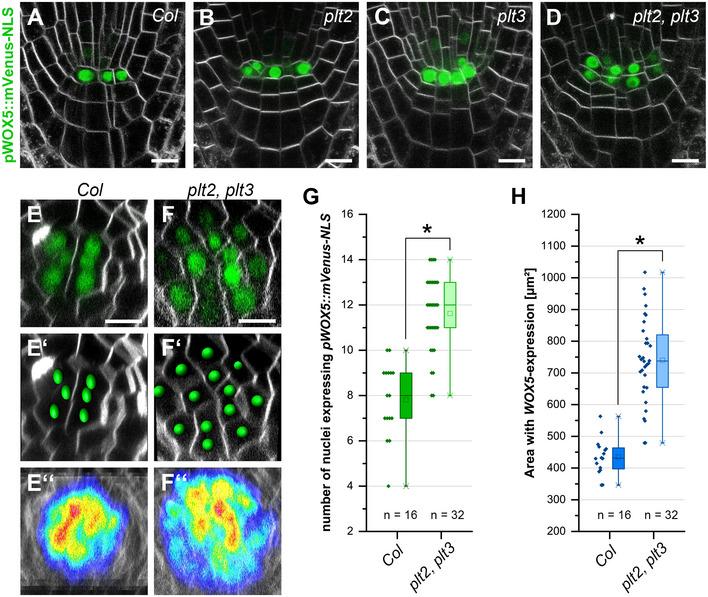 https://cdn.ncbi.nlm.nih.gov/pmc/blobs/6a38/9171415/d0302c71210c/EMBR-23-e54105-g015.jpg