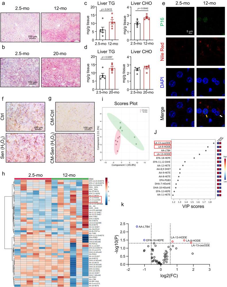 https://cdn.ncbi.nlm.nih.gov/pmc/blobs/6a39/10710422/096ae364308f/41467_2023_44026_Fig1_HTML.jpg