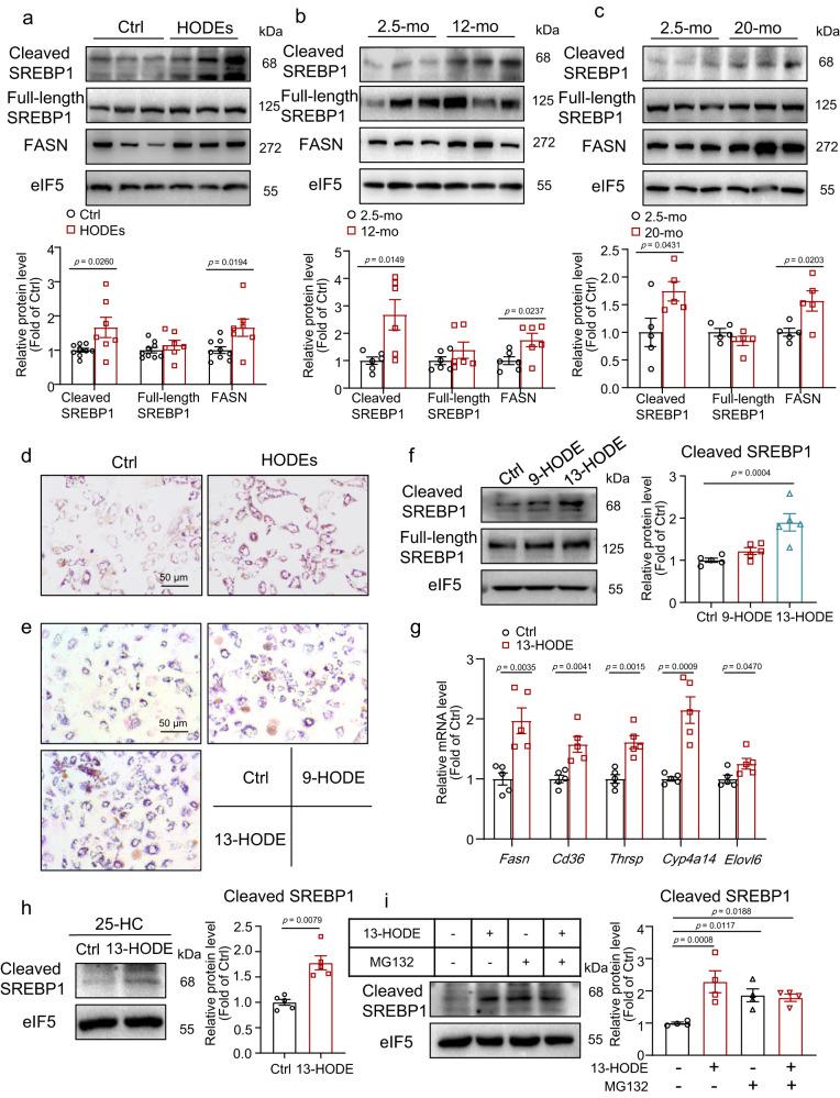 https://cdn.ncbi.nlm.nih.gov/pmc/blobs/6a39/10710422/a0d55530df82/41467_2023_44026_Fig4_HTML.jpg