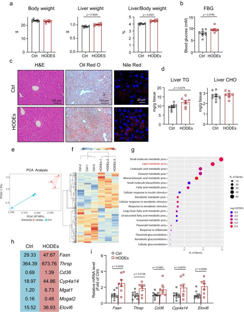 https://cdn.ncbi.nlm.nih.gov/pmc/blobs/6a39/10710422/e226356a3168/41467_2023_44026_Fig3_HTML.jpg