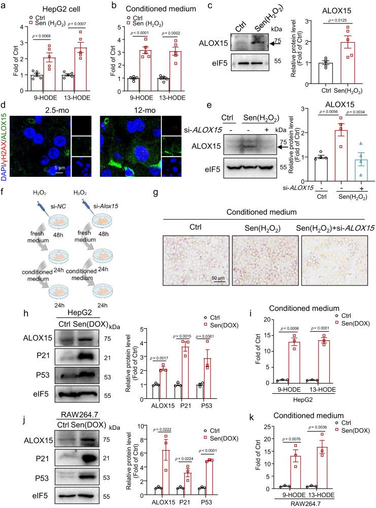 https://cdn.ncbi.nlm.nih.gov/pmc/blobs/6a39/10710422/ecacca9e6176/41467_2023_44026_Fig2_HTML.jpg