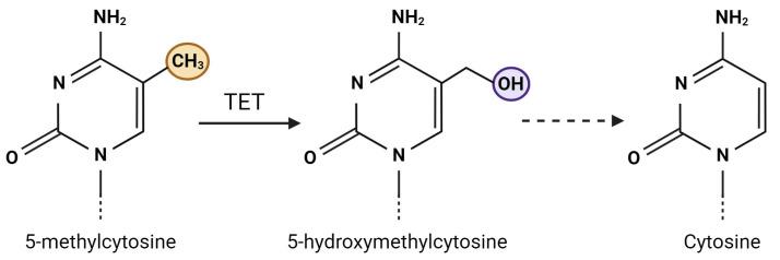 https://cdn.ncbi.nlm.nih.gov/pmc/blobs/6a3a/11172855/99a7d8c09b61/ijms-25-06168-g003.jpg