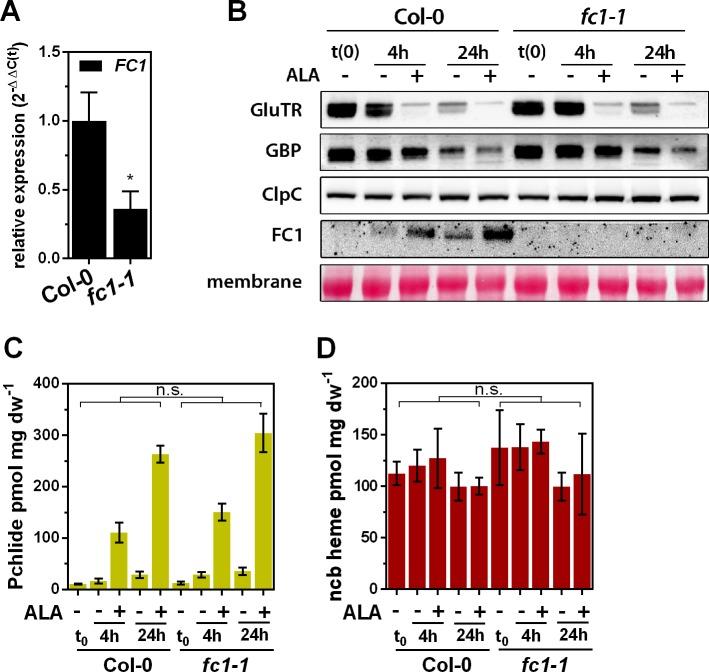 https://cdn.ncbi.nlm.nih.gov/pmc/blobs/6a3a/6597238/614984005ed1/elife-46300-fig5-figsupp1.jpg