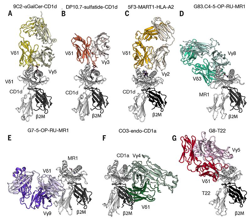 https://cdn.ncbi.nlm.nih.gov/pmc/blobs/6a3a/7616870/7309d2d7c127/EMS200431-f001.jpg