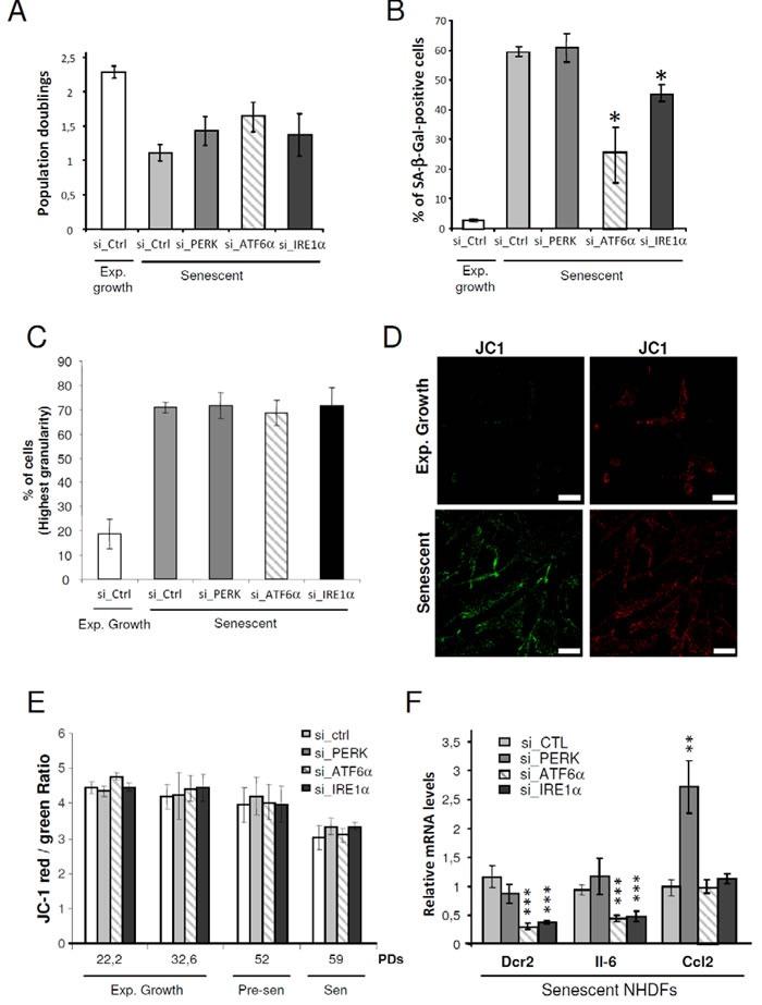https://cdn.ncbi.nlm.nih.gov/pmc/blobs/6a3b/5356513/b41d6175bf5a/oncotarget-07-67699-g004.jpg