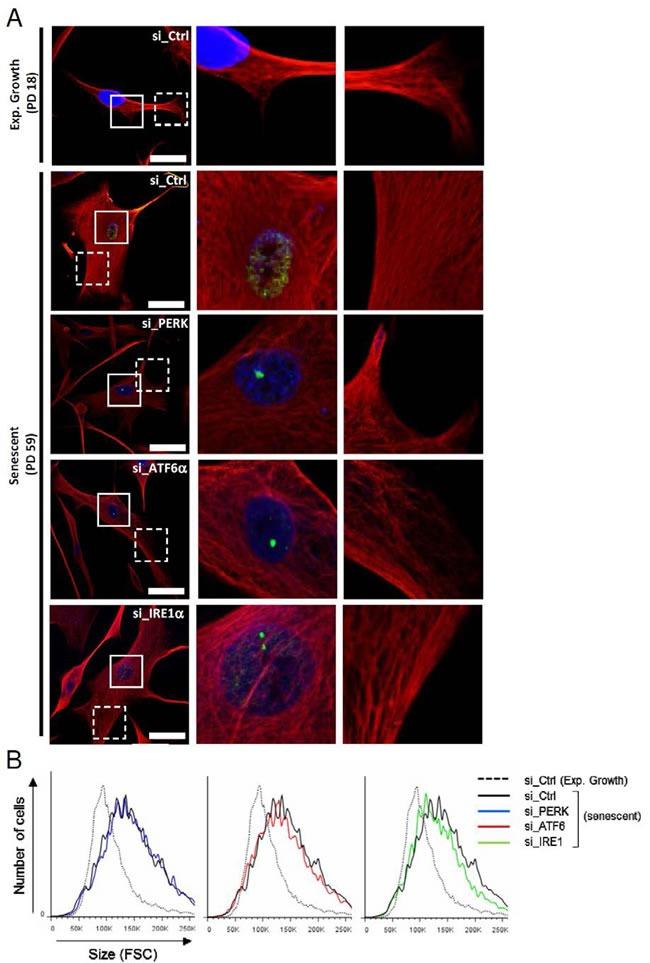 https://cdn.ncbi.nlm.nih.gov/pmc/blobs/6a3b/5356513/be2c14554d76/oncotarget-07-67699-g005.jpg