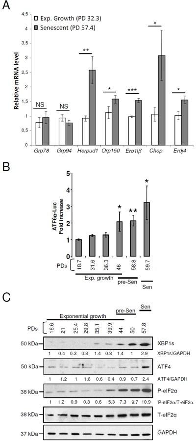 https://cdn.ncbi.nlm.nih.gov/pmc/blobs/6a3b/5356513/d40010319b4d/oncotarget-07-67699-g003.jpg