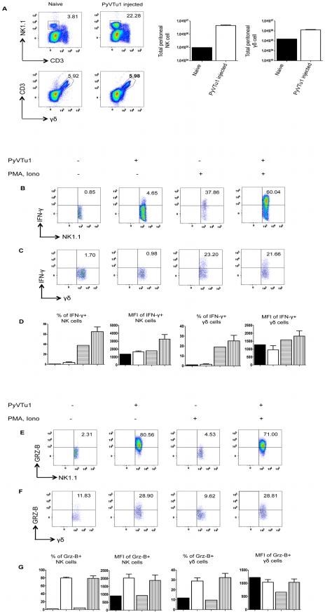 https://cdn.ncbi.nlm.nih.gov/pmc/blobs/6a3d/2877738/0439d24042f8/ppat.1000924.g005.jpg