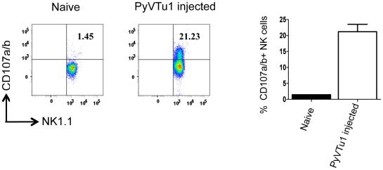 https://cdn.ncbi.nlm.nih.gov/pmc/blobs/6a3d/2877738/206b0d900b6d/ppat.1000924.g006.jpg